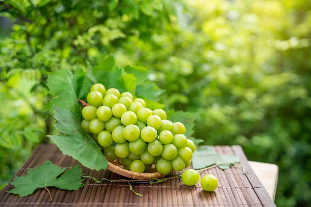 green-grape-bamboo-basket-wooden-table-garden (1)