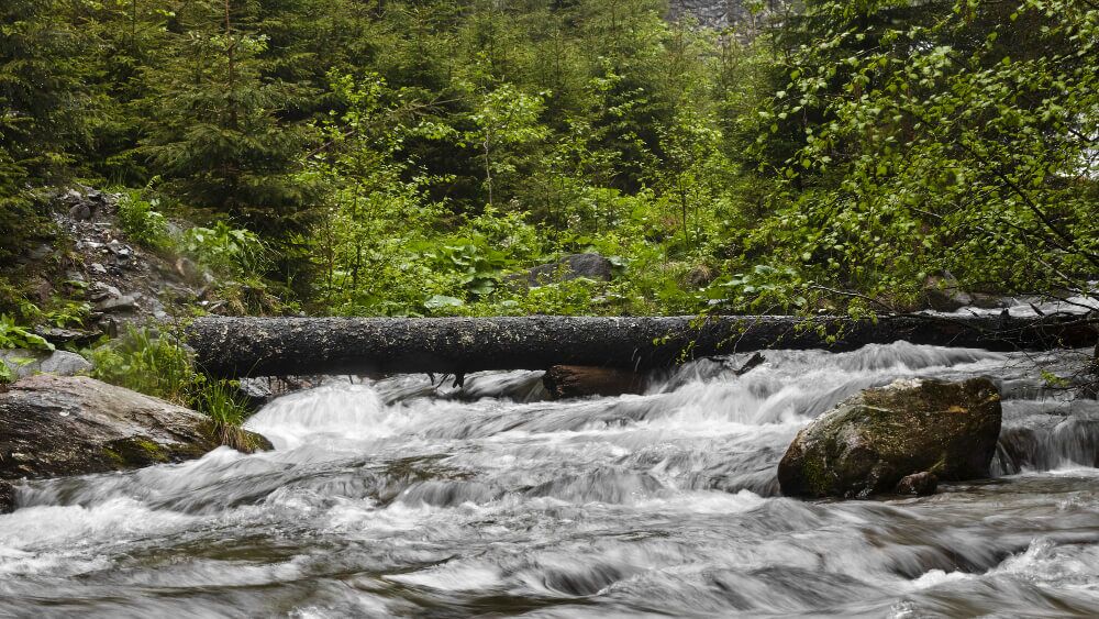 log-river-long-exposure (1)