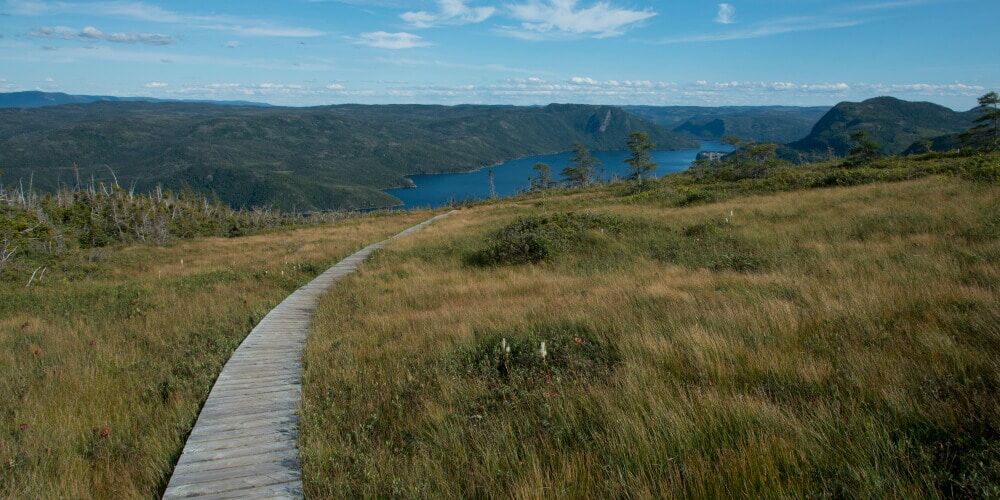 lookout-trail-along-bonne-bay-lookout-hill-gros-morne-national-park-newfoundland-labrador-ca (1)